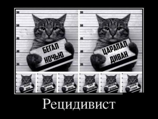http://www.anekdotov-mnogo.ru/image-prikol//smeshnie_kartinki_145542331782.jpg