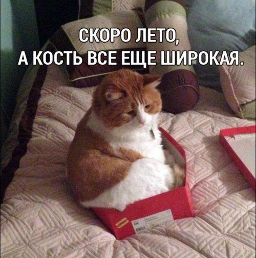 http://www.anekdotov-mnogo.ru/image-prikol//smeshnie_kartinki_145556394362.jpg