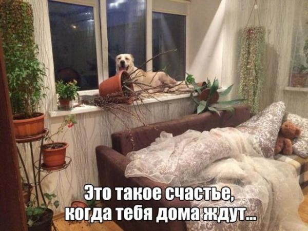 http://www.anekdotov-mnogo.ru/image-prikol//smeshnie_kartinki_145714381395.jpg