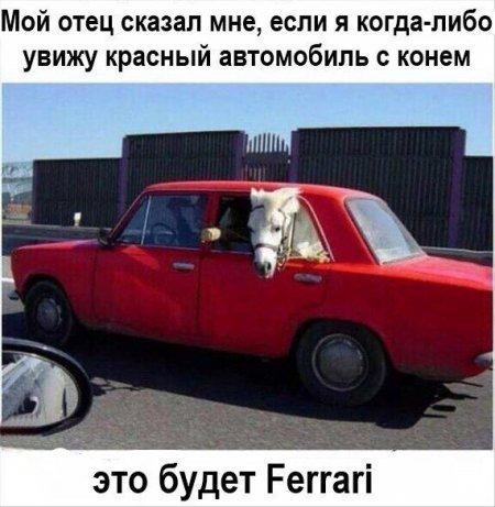 http://www.anekdotov-mnogo.ru/image-prikol//smeshnie_kartinki_1462953464100.jpg