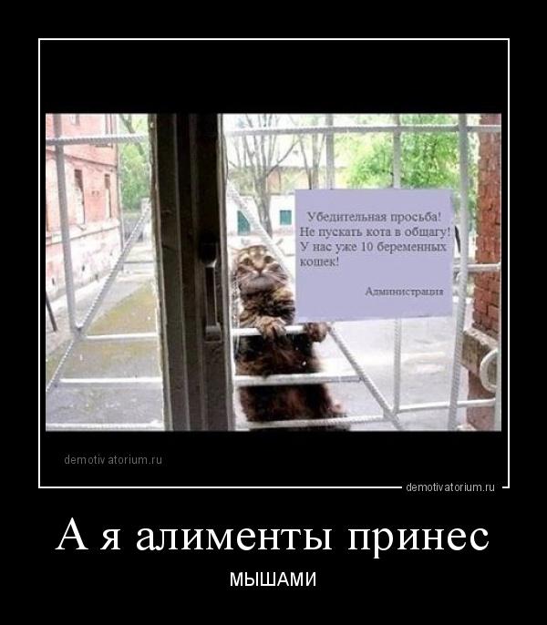http://www.anekdotov-mnogo.ru/image-prikol//smeshnie_kartinki_146295365223.jpg