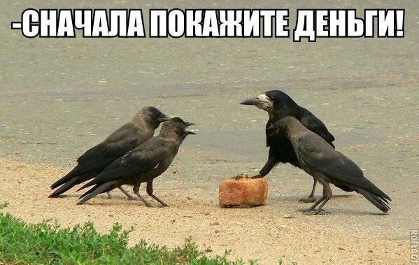 http://www.anekdotov-mnogo.ru/image-prikol//smeshnie_kartinki_146529725220.jpg