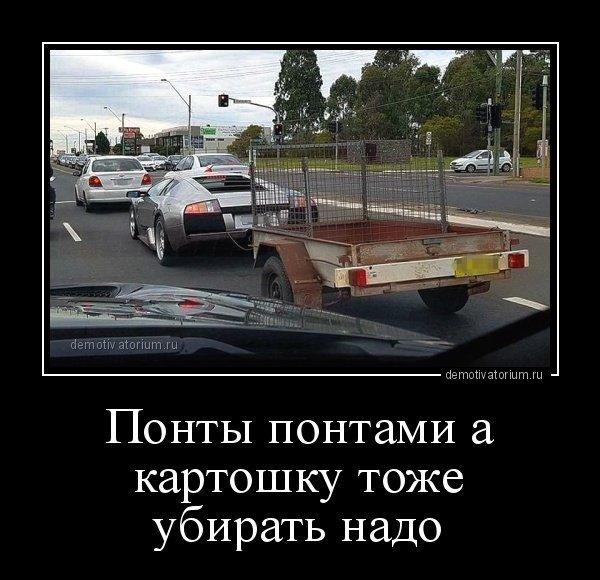 http://www.anekdotov-mnogo.ru/image-prikol//smeshnie_kartinki_146757931135.jpg