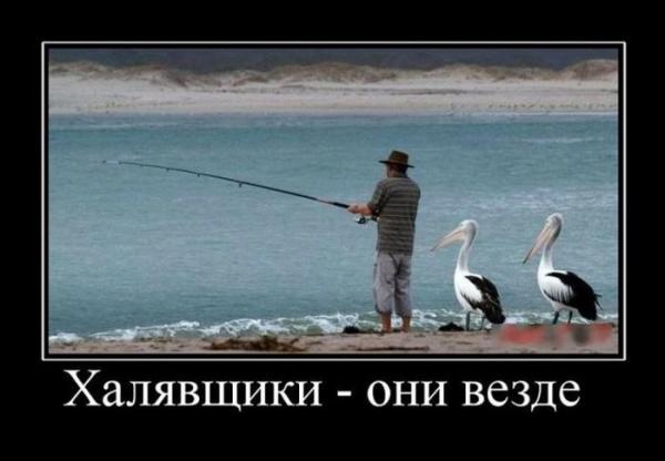 http://www.anekdotov-mnogo.ru/image-prikol//smeshnie_kartinki_146864474720.jpg