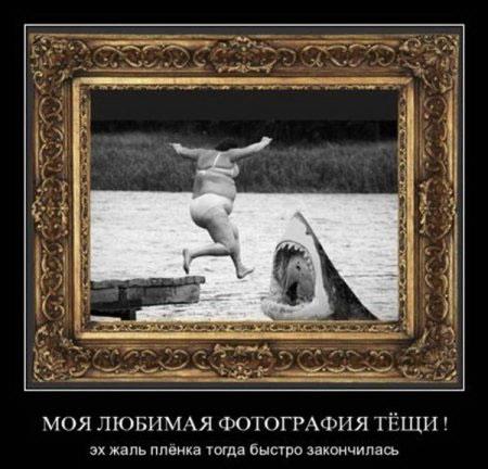 smeshnie_kartinki_135585326418122012808.jpg