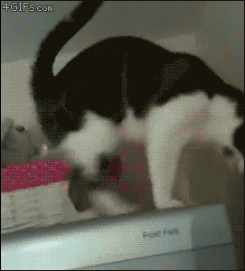 smeshnie_kartinki_1363183580130320131964.gif