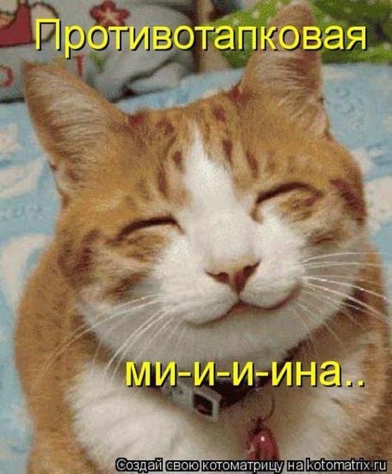 http://www.anekdotov-mnogo.ru/image-prikol/smeshnie_kartinki_137668565017082013590.jpg