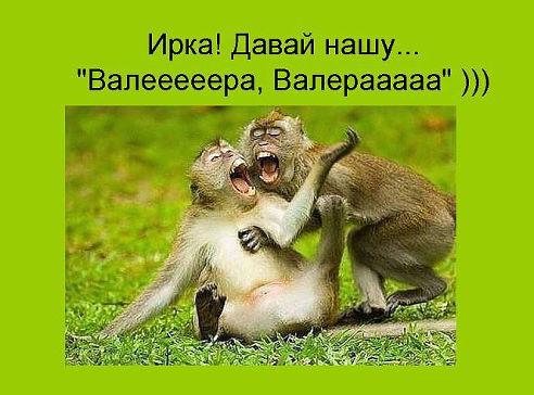 http://www.anekdotov-mnogo.ru/image-prikol/smeshnie_kartinki_1376733546170820132505.jpg